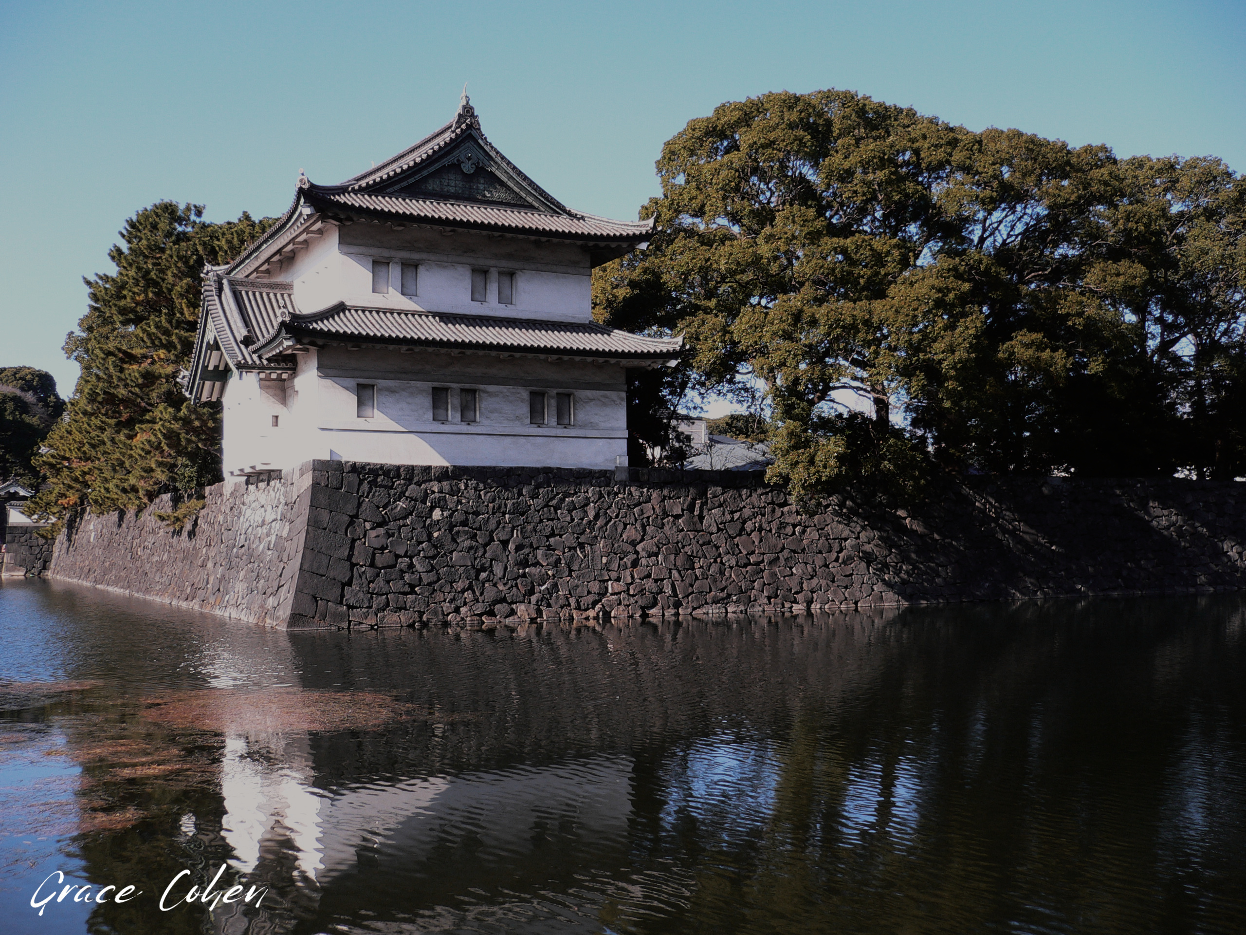 Imperial Palace on New Year's Day