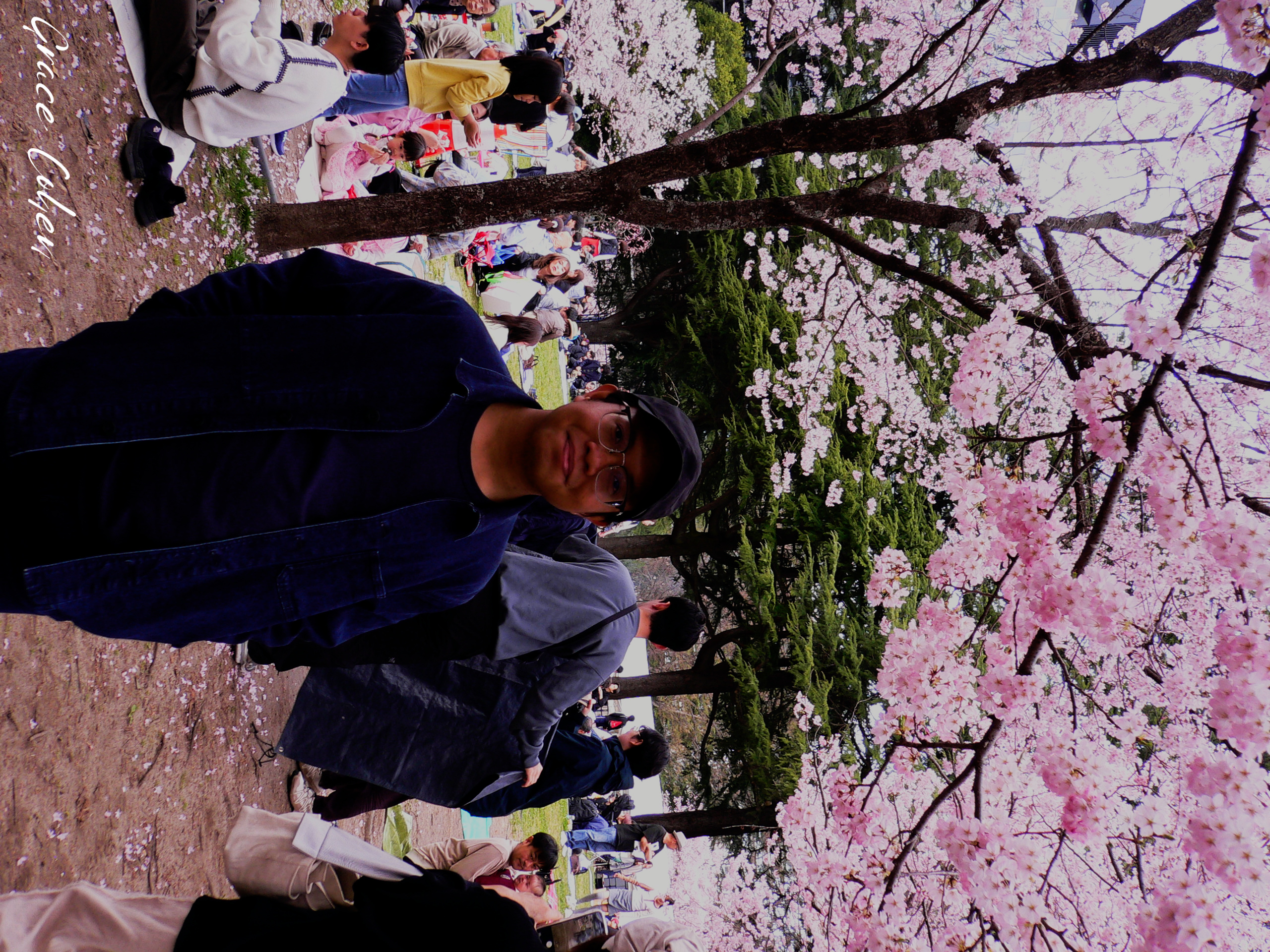 Man Under the Sakura