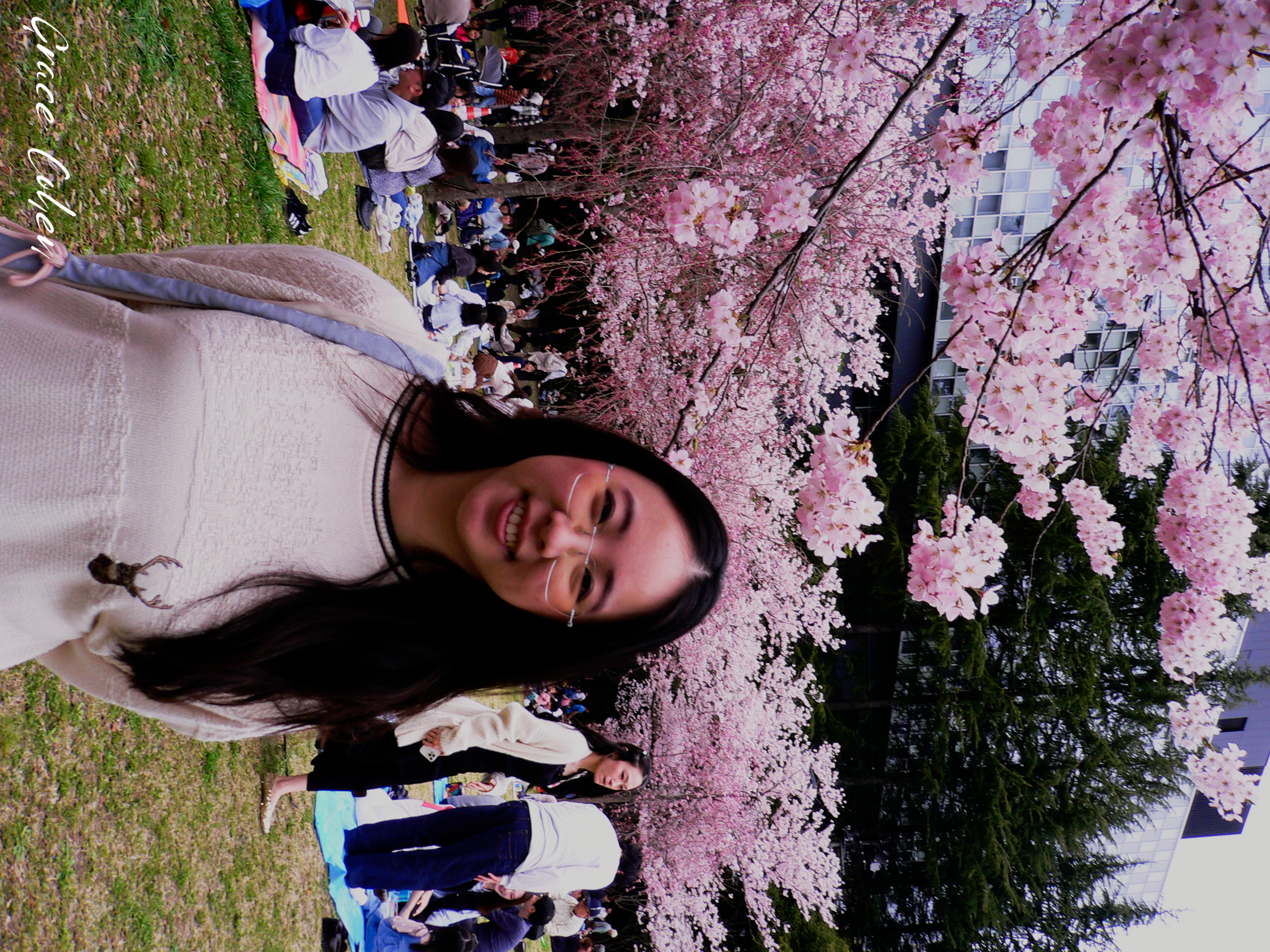 Woman Enjoying Hanami