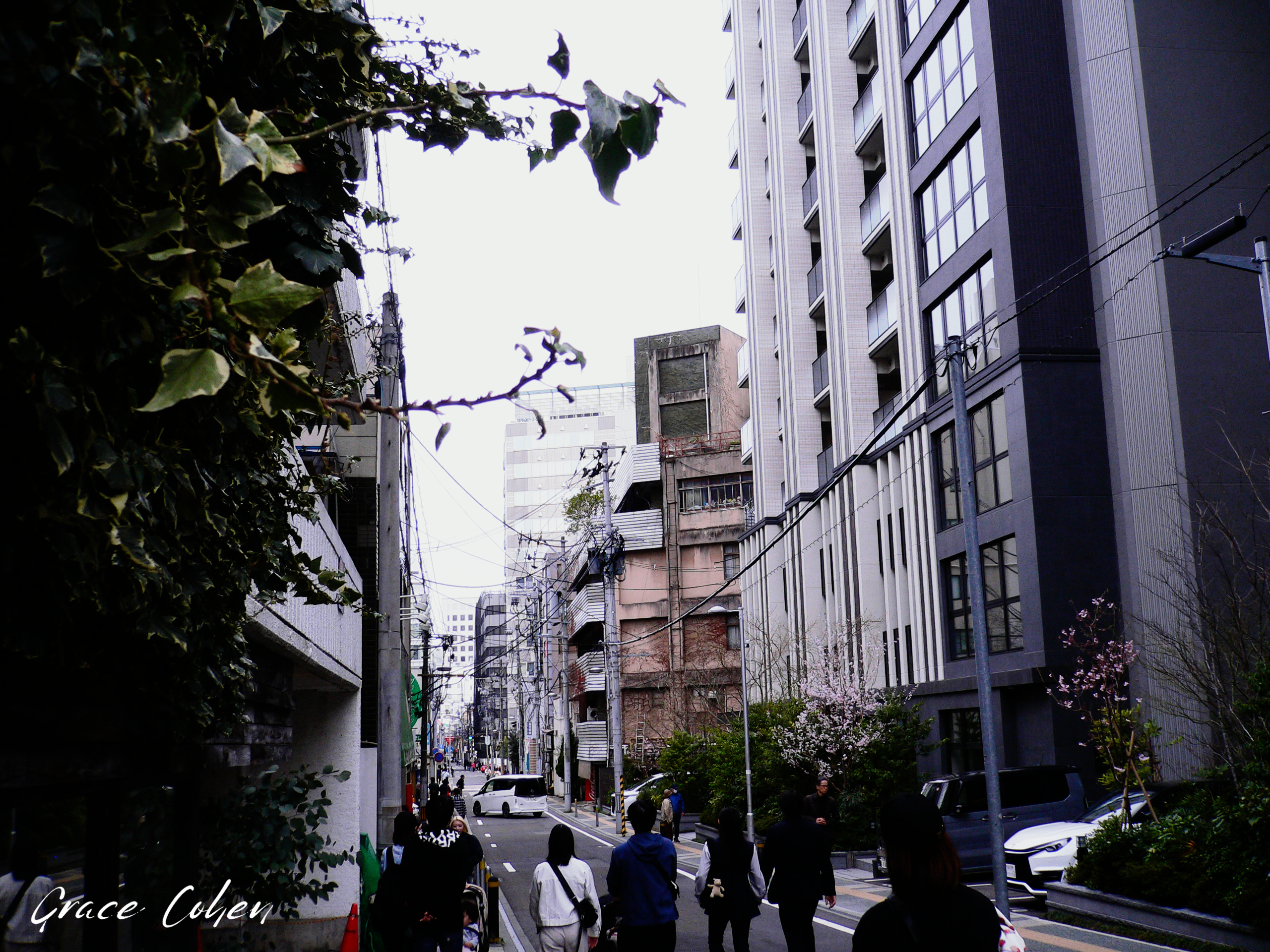 Streets of Sendai in Spring