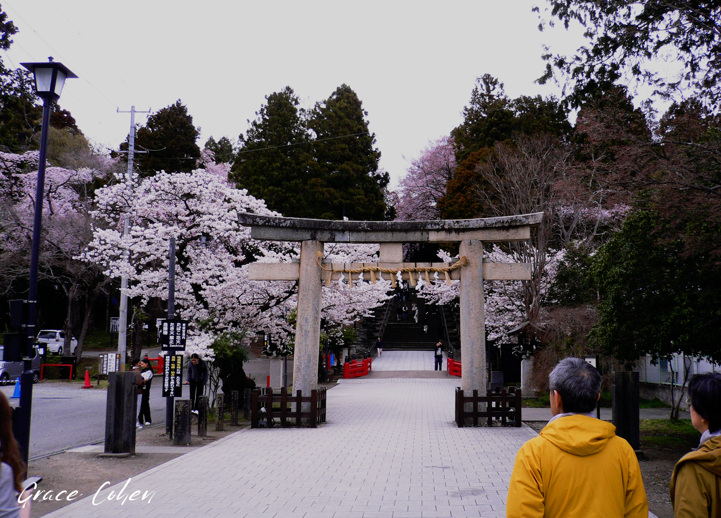 A Spring Welcome to Toshogu