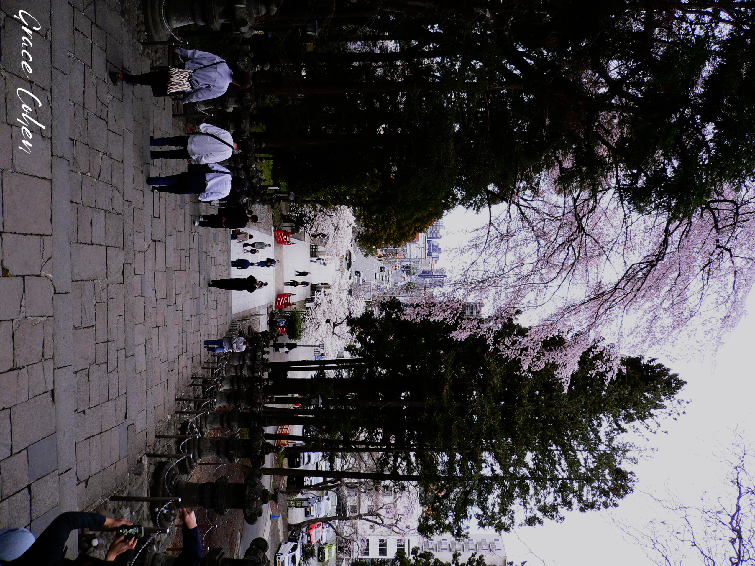 Toshogu Passage