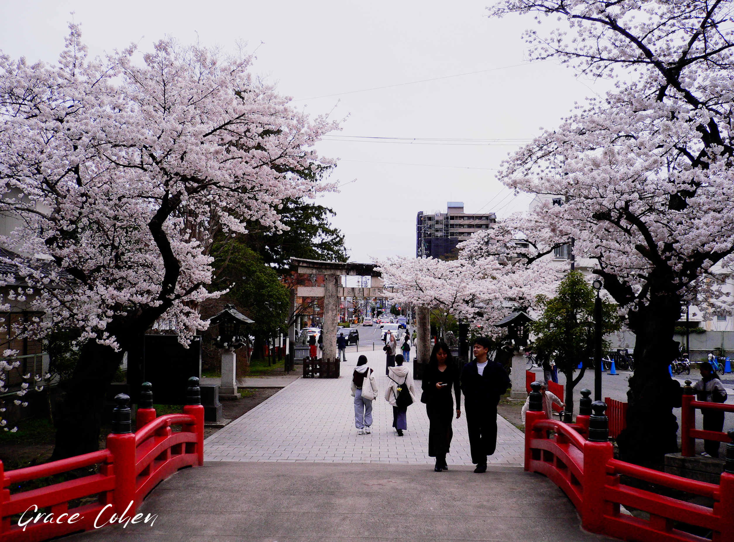 Sakura and Tori Gates